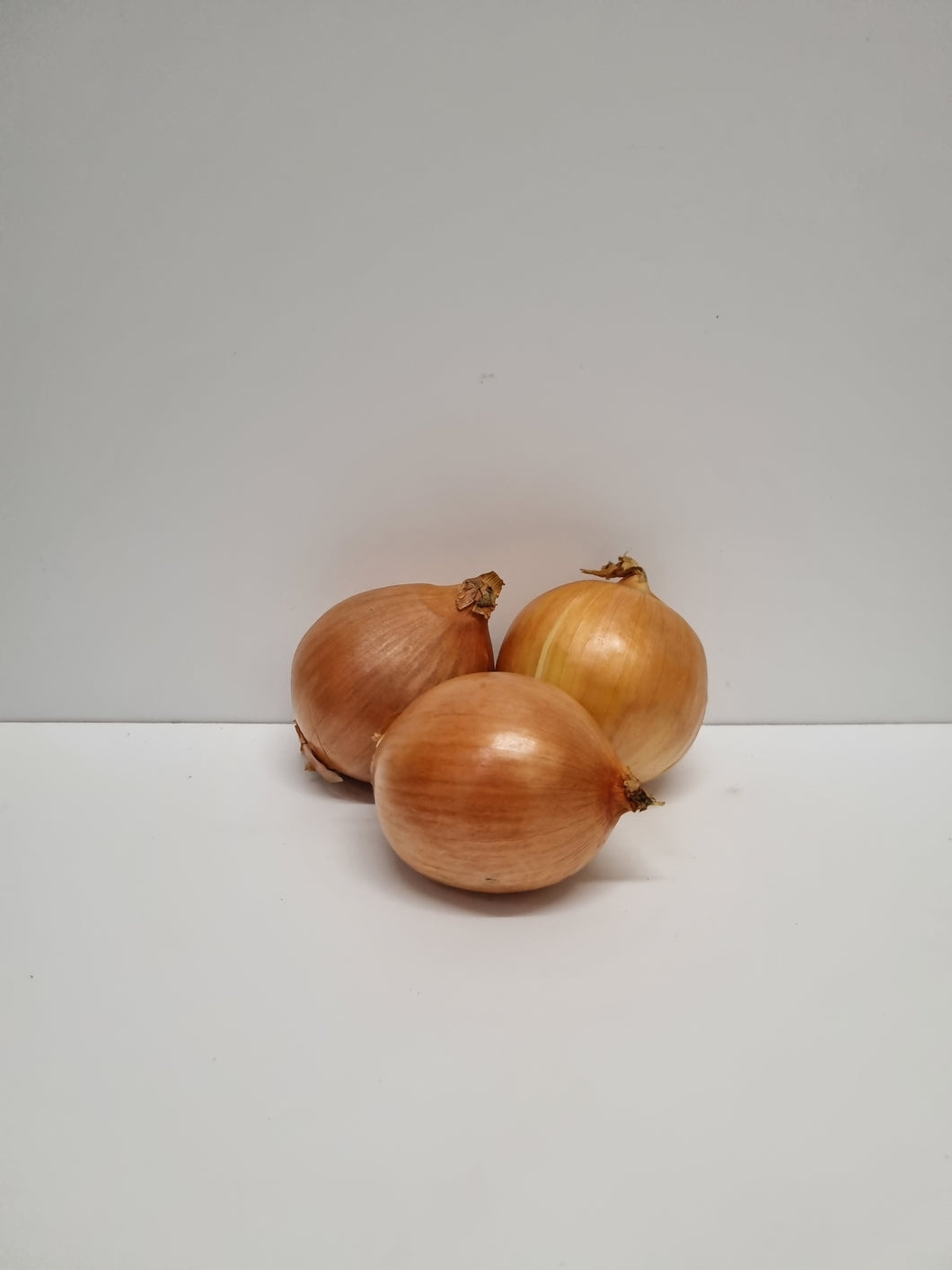 Onion- Brown (each)